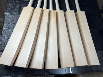 Players Grade Bats